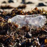 Apa Itu Polusi Plastik?